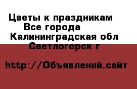 Цветы к праздникам  - Все города  »    . Калининградская обл.,Светлогорск г.